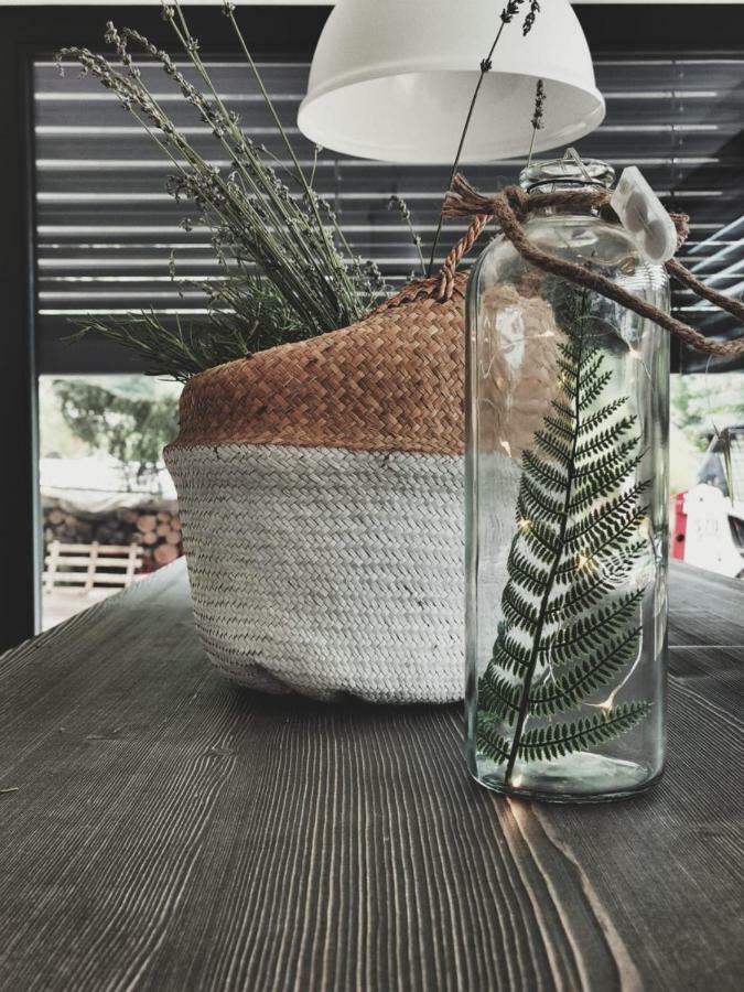 Affittacamere Casa Ester Baselga di Pinè Eksteriør billede